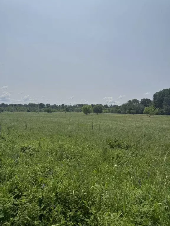 Участок в Краснодарский край, Горячий Ключ  (5.0 сот.) - Фото 0