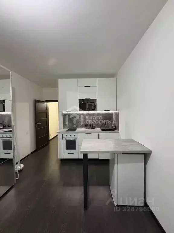 Студия Санкт-Петербург просп. Буденного, 21к1 (24.8 м) - Фото 1