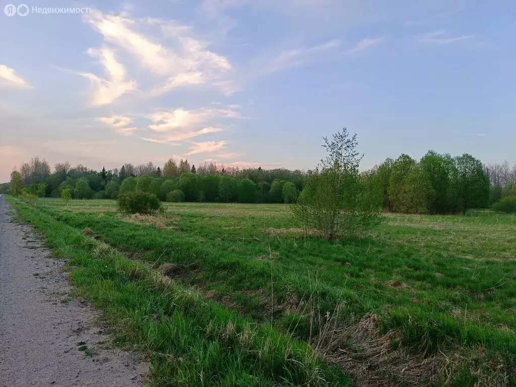 Участок в Ленинградская область, Волхов (10.1 м) - Фото 1