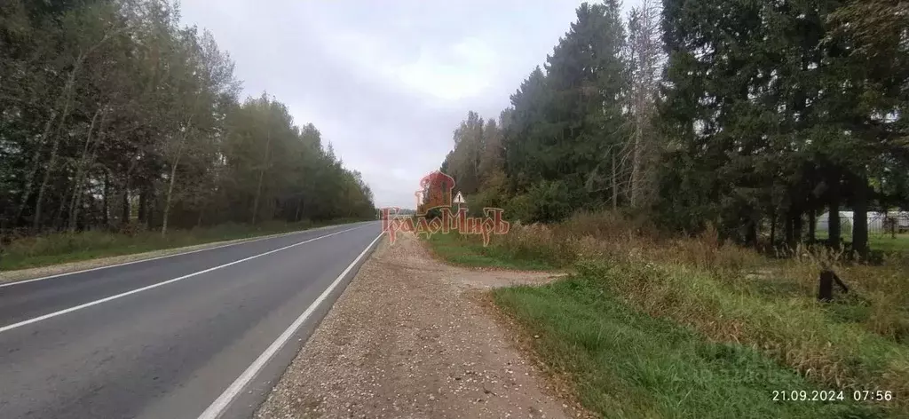 Участок в Владимирская область, Александровский район, Андреевское ... - Фото 0
