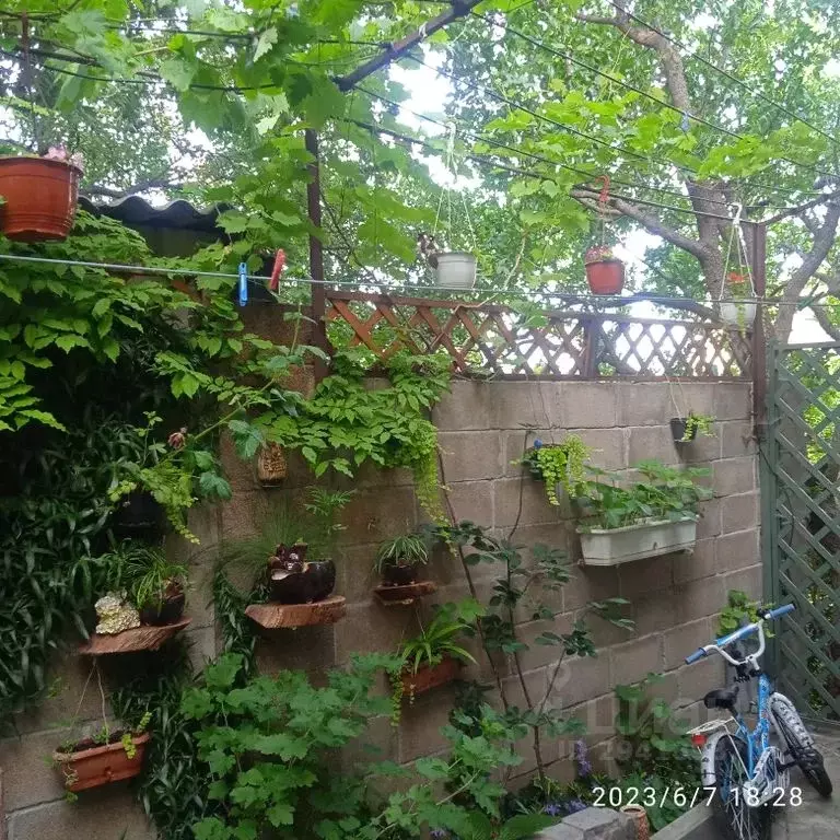 Дом в Крым, Ялта городской округ, Форос пгт спуск Форосский, 37В (75 ... - Фото 1