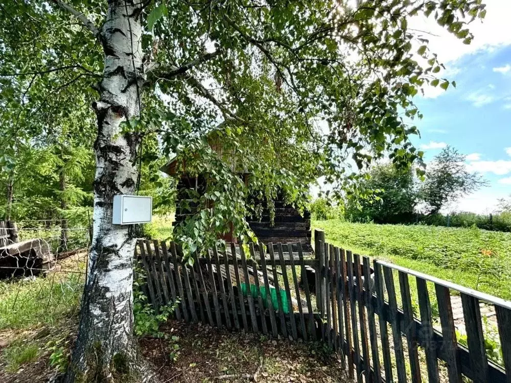 Дом в Амурская область, Белогорск ул. Богдана Хмельницкого (18 м) - Фото 2