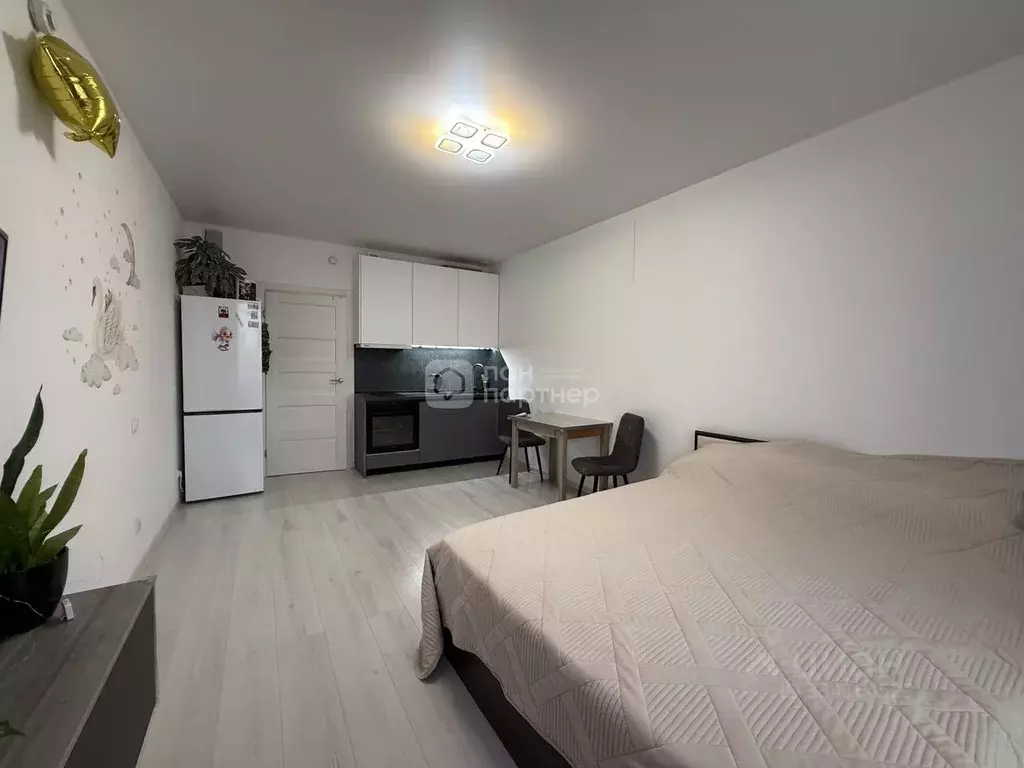 Студия Санкт-Петербург ш. Суздальское, 20к4 (27.5 м) - Фото 2