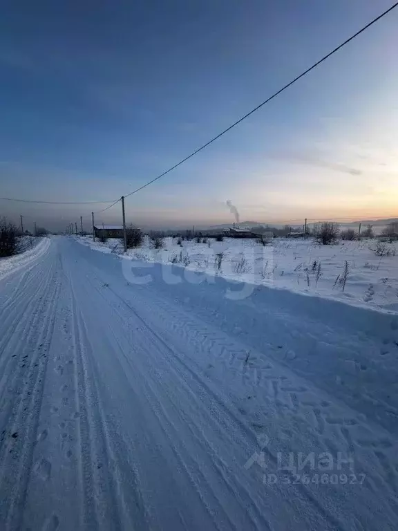 Участок в Алтай, Майминский район, с. Подгорное  (13.0 сот.) - Фото 1