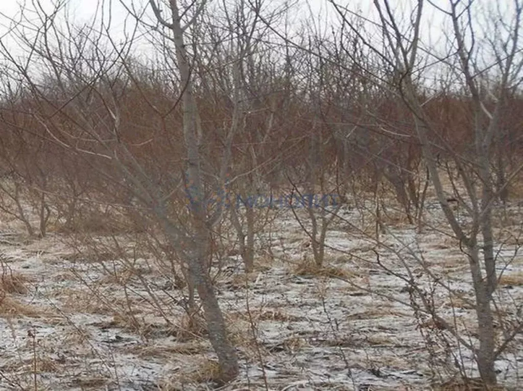 Участок в Нижегородская область, Кстовский муниципальный округ, д. ... - Фото 0