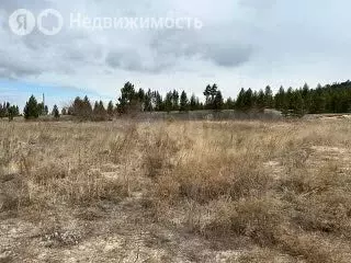 Участок в Прибайкальский район, СНТ Железнодорожник (20 м) - Фото 0