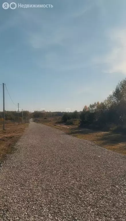 Участок в Айшинское сельское поселение, посёлок Нарат, Лесная улица ... - Фото 2