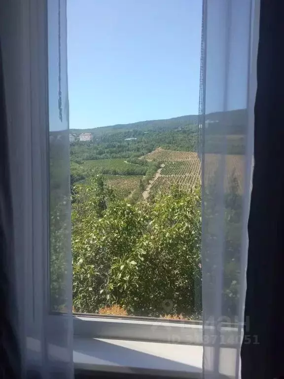 Студия Крым, Ялта ул. Большевистская, 5 (31.0 м) - Фото 2