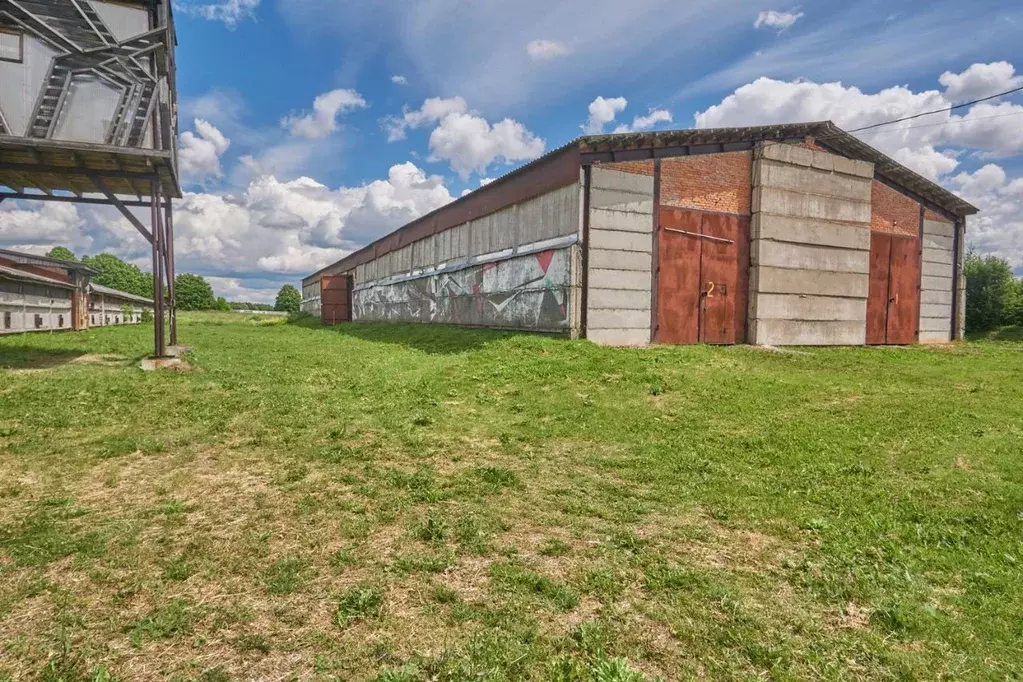 Склад в Тульская область, Заокский район, Страховское с/пос, д. ... - Фото 2