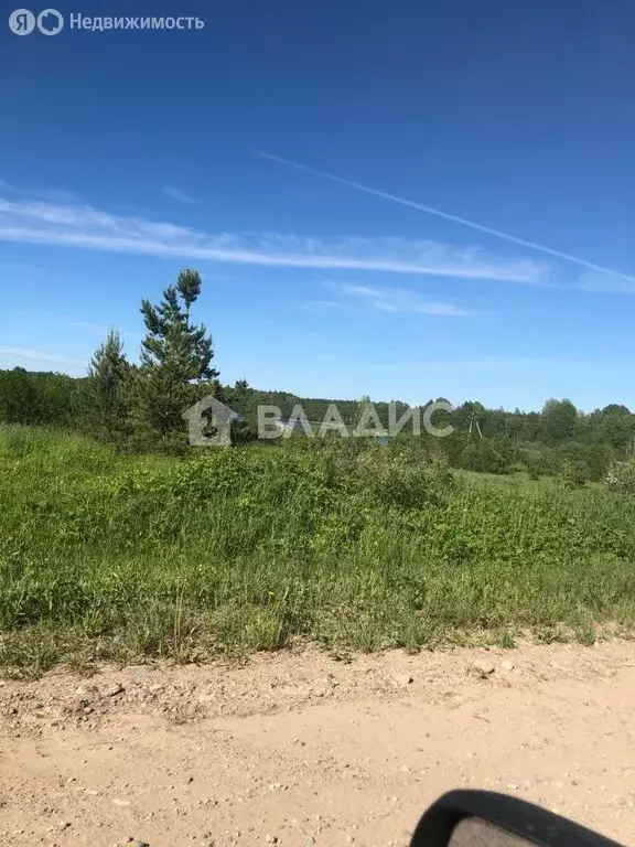Участок в Вологодская область, Кирилловский муниципальный округ, ... - Фото 1