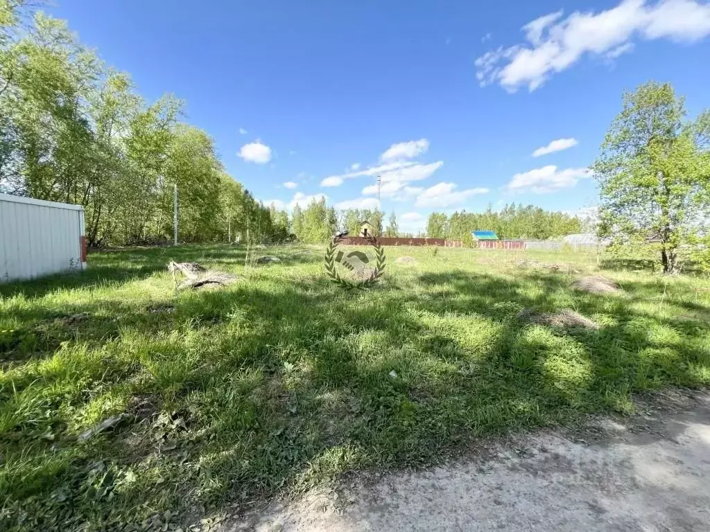 Участок в Калужская область, Бабынинский район, Муромцево с/пос, с. ... - Фото 2