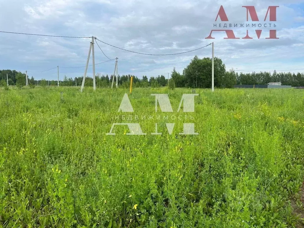 Участок в Владимирская область, Владимир д. Немцово,  (14.4 сот.) - Фото 1