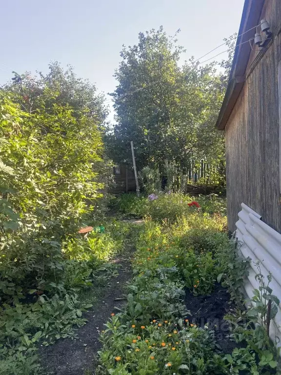 Дом в Самарская область, Кинельский район, Чубовка с/пос, Старая ... - Фото 0