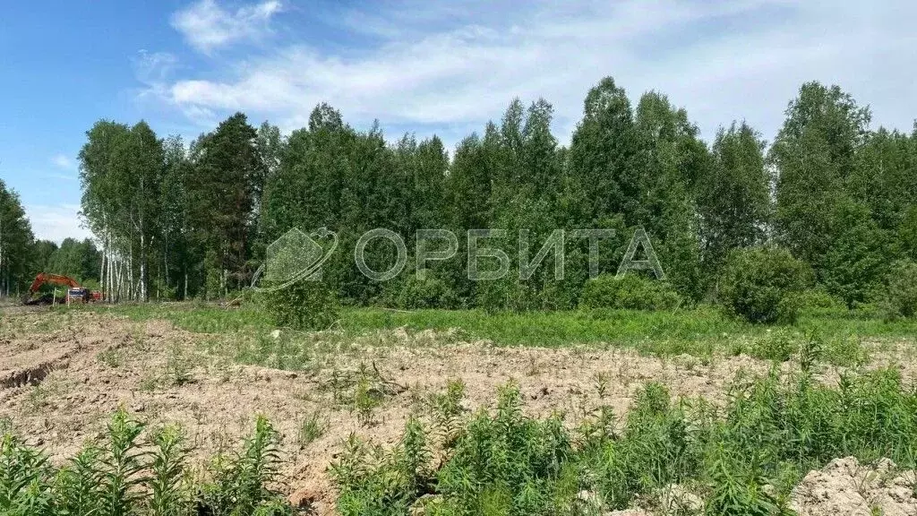 Участок в Тюменская область, Нижнетавдинский район, Березка СНТ  (7.0 ... - Фото 1