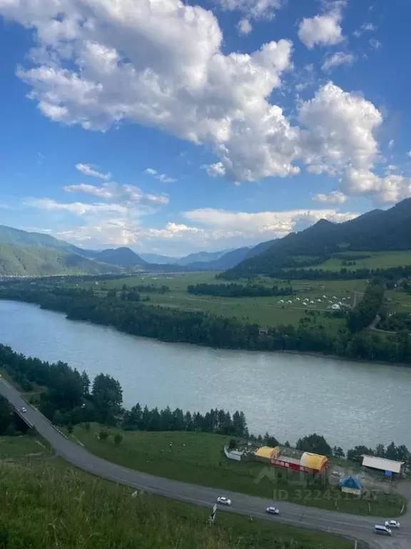 Участок в Алтай, Чемальский район, Элекмонарское с/пос  (70.0 сот.) - Фото 2