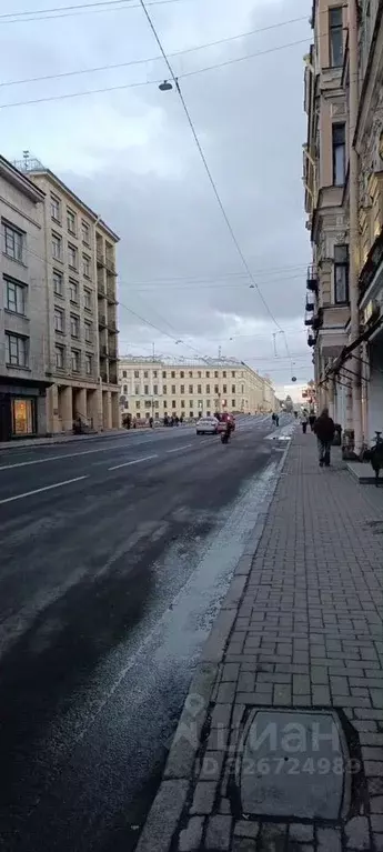 Помещение свободного назначения в Санкт-Петербург Вознесенский просп., ... - Фото 2