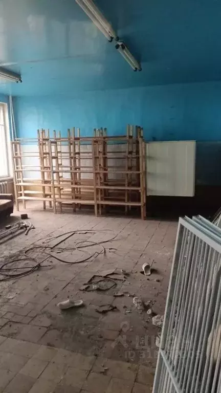 Помещение свободного назначения в Омская область, Омск пос. Большие ... - Фото 0