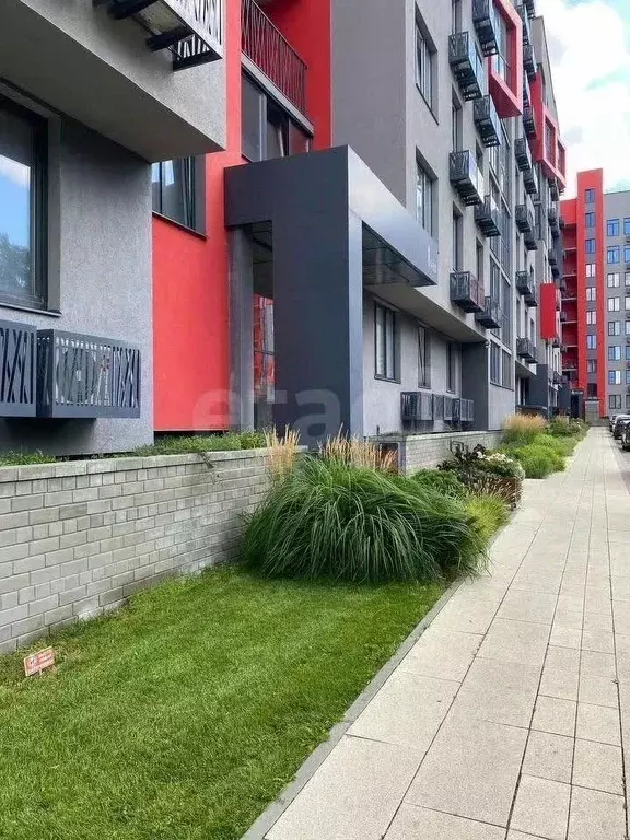 Студия Курская область, Курск ул. Карла Маркса, 66Д (27.0 м) - Фото 1