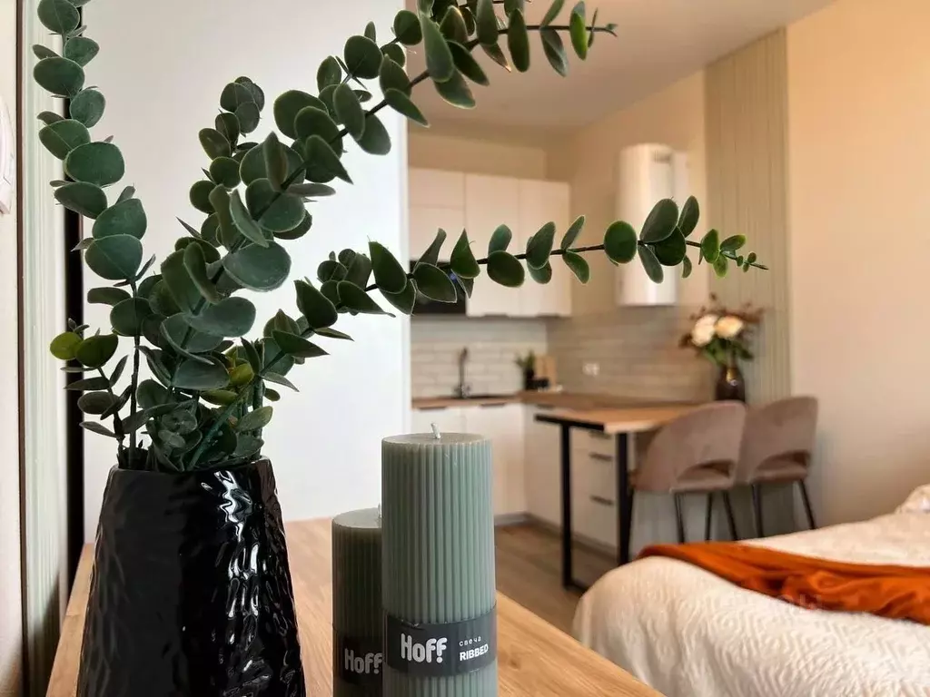 1-к кв. Москва проезд Серебрякова, 11к2 (26.0 м) - Фото 2