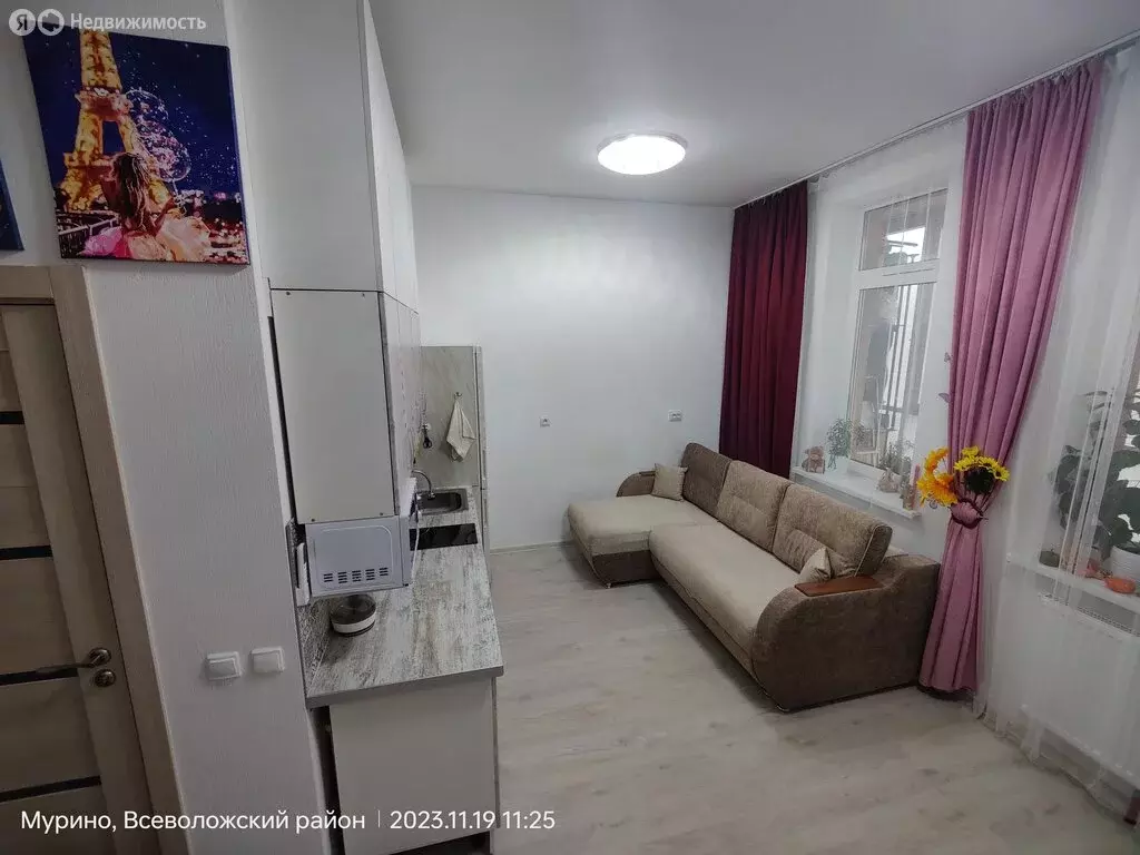 Квартира-студия: Мурино, Ручьёвский проспект, 15 (21.8 м) - Фото 1