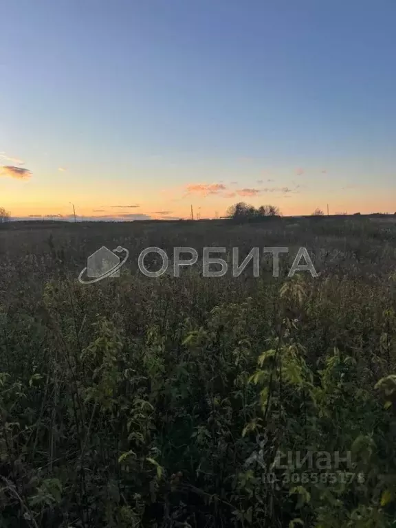 Участок в Тюменская область, с. Ярково  (10.02 сот.) - Фото 0