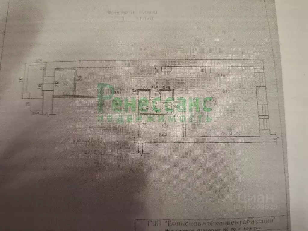 Торговая площадь в Брянская область, Брянск ул. Куйбышева, 10 (56 м) - Фото 1