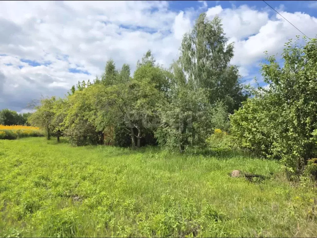 Участок в Брянская область, Брянский район, Снежское с/пос, с. ... - Фото 1