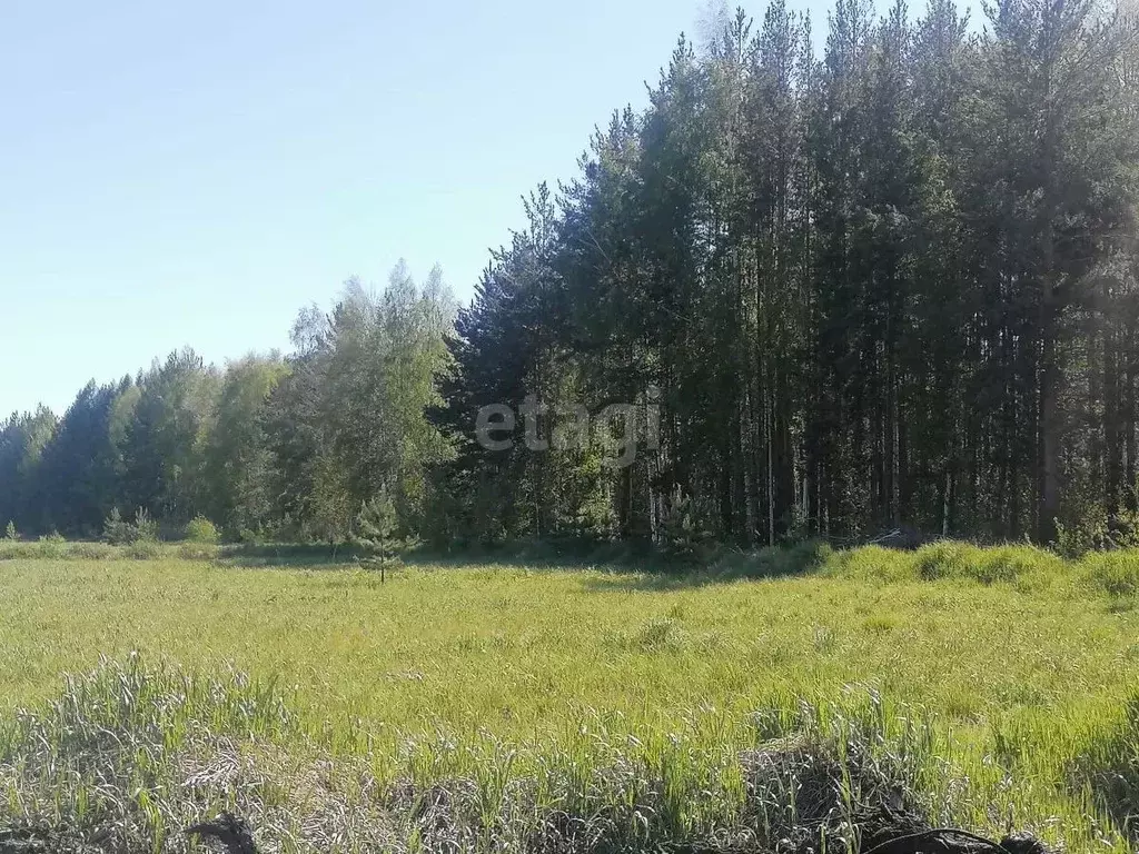 Участок в Свердловская область, Полевской муниципальный округ, с. ... - Фото 2