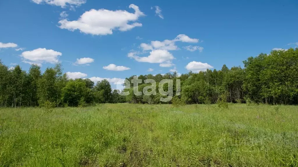 Участок в Свердловская область, Ревда муниципальный округ, с. ... - Фото 1
