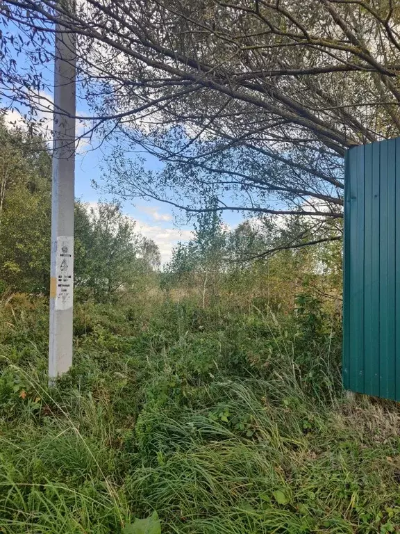 Участок в Калужская область, Перемышльский район, Покровское с/пос, д. ... - Фото 2