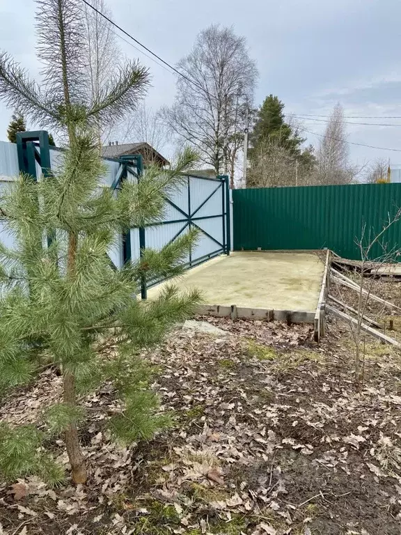 Участок в Санкт-Петербург Дружный-1 СНТ, 7-я линия (5.83 сот.) - Фото 0