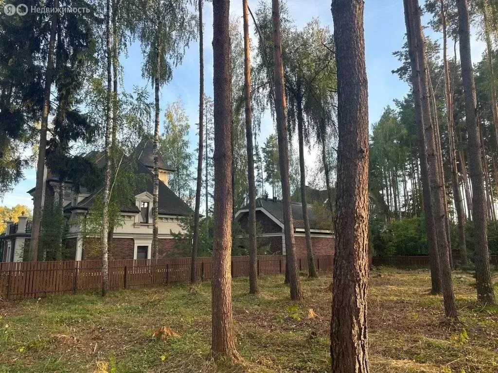 Участок в Химки, микрорайон Новогорск, Сосновая улица, 50 (19 м) - Фото 2