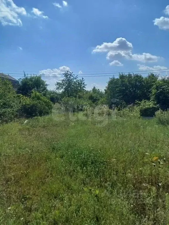 Участок в Воронежская область, Рамонский район, Березовское с/пос, д. ... - Фото 2