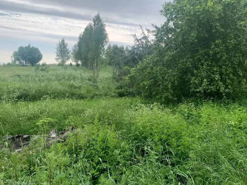 Участок в Псковская область, Великолукский район, Лычевская волость, ... - Фото 1