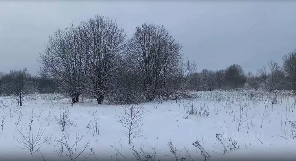 Участок в Московская область, Дмитровский муниципальный округ, д. ... - Фото 1