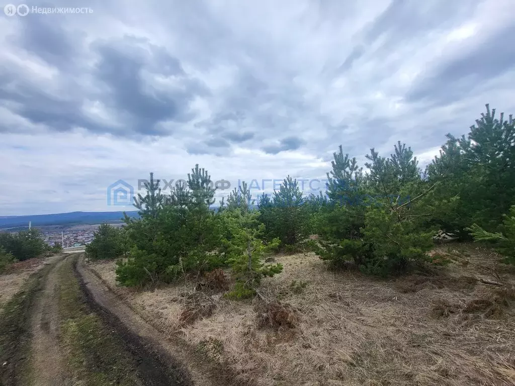 Участок в село Ломовка, Саратовская улица (15 м) - Фото 1