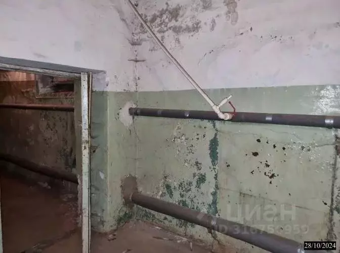 Помещение свободного назначения в Нижегородская область, Нижний ... - Фото 1