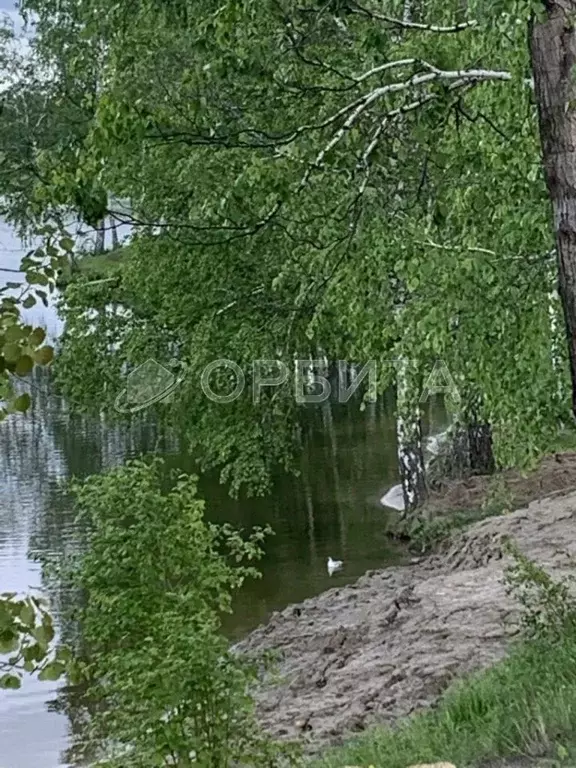 Участок в Тюменская область, Тюменский муниципальный округ, д. ... - Фото 1