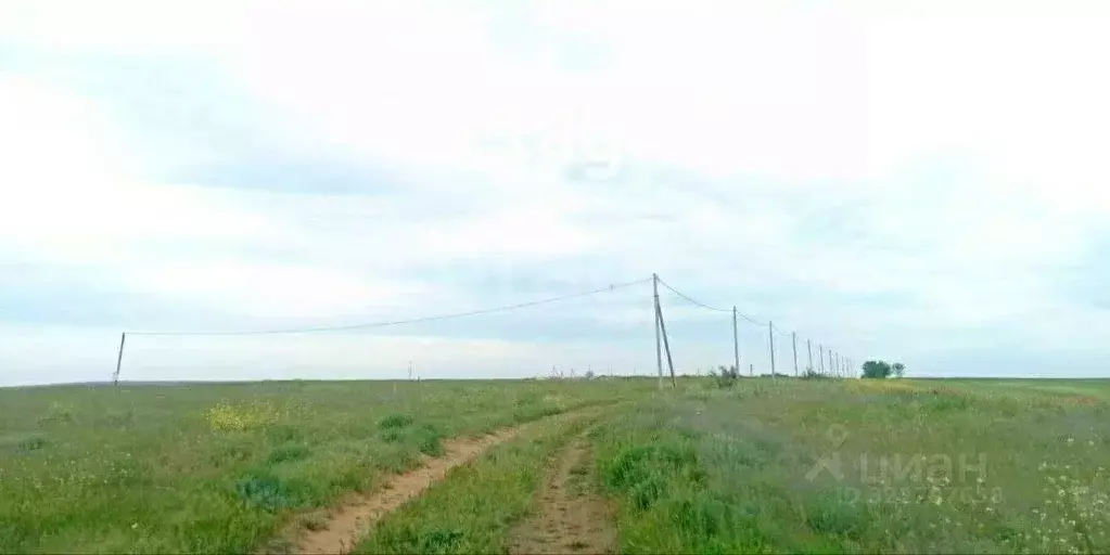 Участок в Крым, Ленинский район, с. Луговое ул. Шагиняна (458.0 сот.) - Фото 1