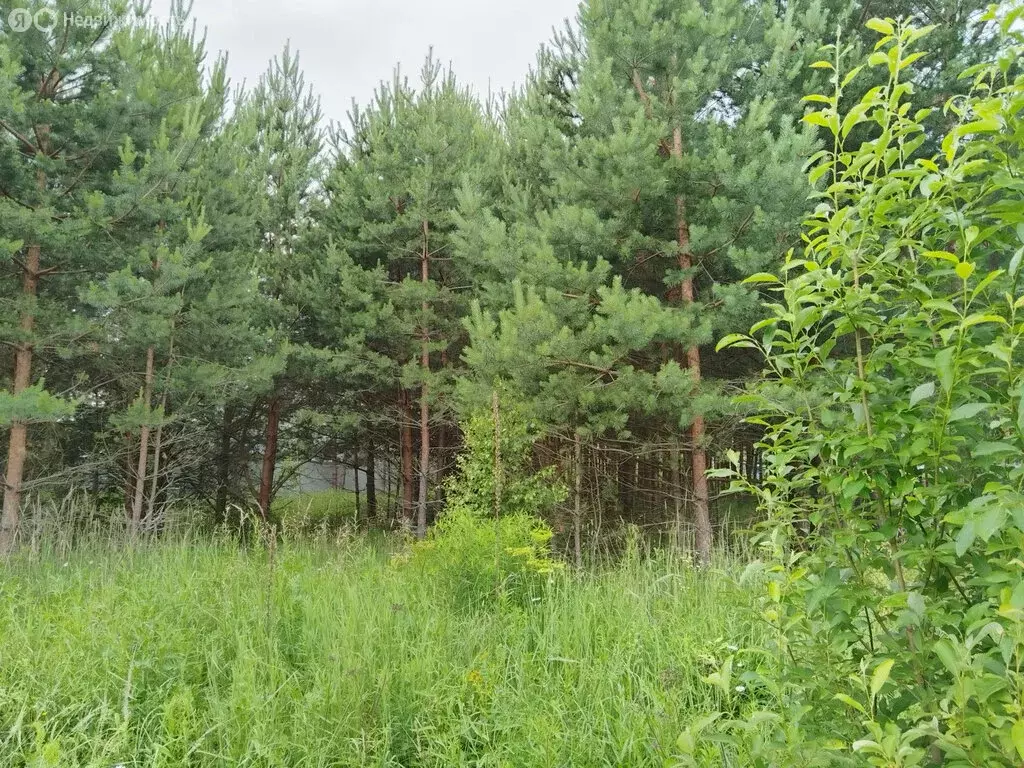 Участок в Раменское, КП Дергаево-2 (6.3 м) - Фото 0