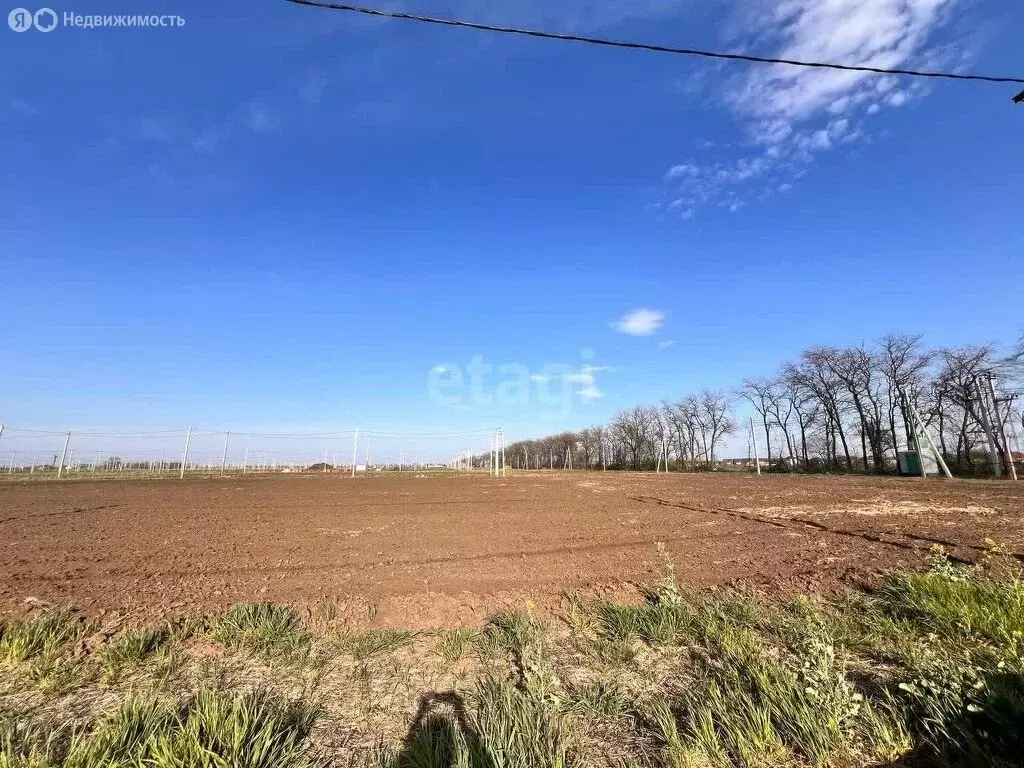 Участок в Неклиновский район, село Новобессергеневка (6.4 м) - Фото 0