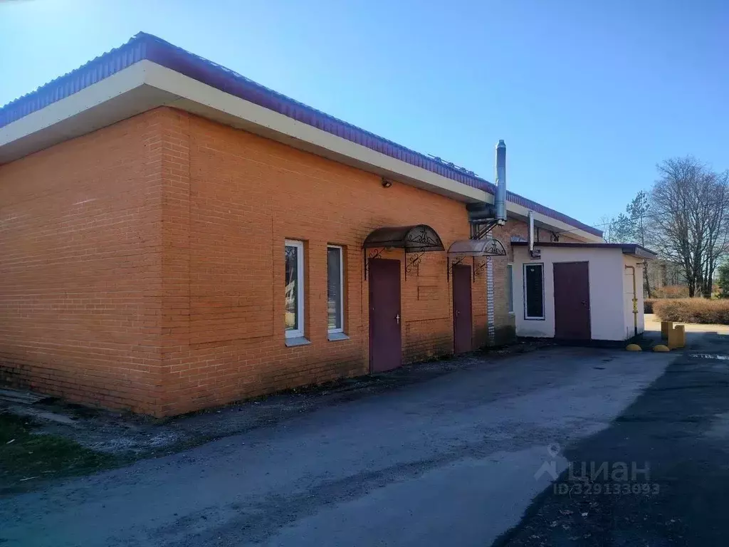 Торговая площадь в Ленинградская область, Волосово просп. Вингиссара, ... - Фото 2
