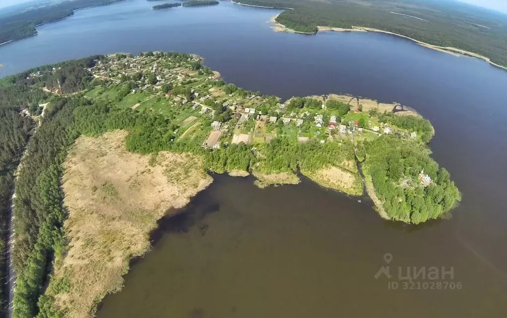 Участок в Ленинградская область, Лужский район, Волошовское с/пос, д. ... - Фото 2