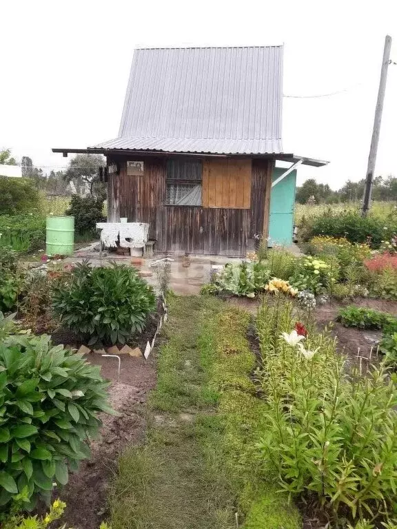 Участок в Новосибирский район, Барышевский сельсовет, посёлок Двуречье ... - Фото 0