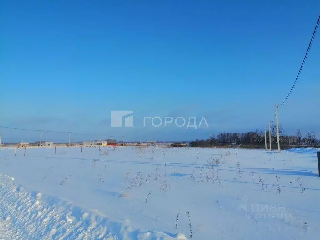 Участок в Новосибирская область, Новосибирский район, Криводановский ... - Фото 2