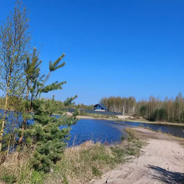Участок, 12 сот., сельхоз (снт или днп) - Фото 0