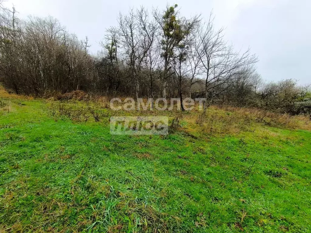 Участок в Краснодарский край, Апшеронский район, с. Черниговское ... - Фото 1