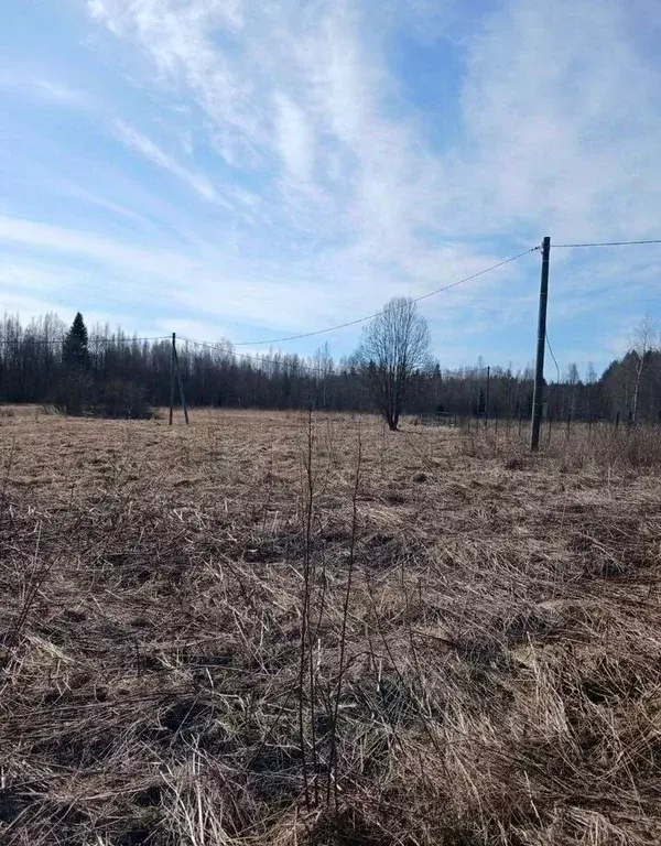 Участок в Ленинградская область, Выборгский район, Советское городское ... - Фото 1