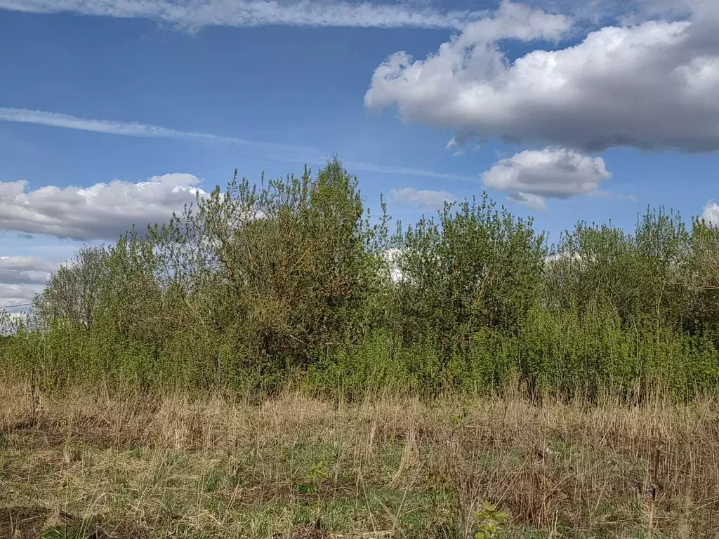 Участок в Московская область, Клин городской округ, д. Вельмогово  ... - Фото 1
