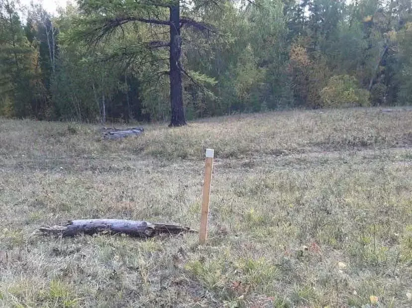 Участок в Саха (Якутия), Якутск городской округ, с. Маган  (8.0 сот.) - Фото 0